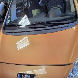 PEUGEOT 1007