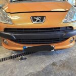 PEUGEOT 1007
