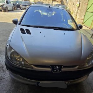PEUGEOT 206 PHASE 1