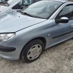PEUGEOT 206 PHASE 1