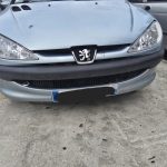 PEUGEOT 206 PHASE 1