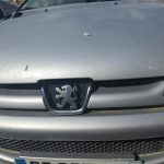 PEUGEOT 206 PHASE 2