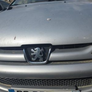 PEUGEOT 206 PHASE 2