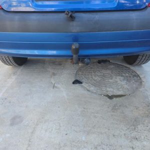RENAULT CLIO 2 PHASE 2