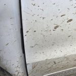 VOLKSWAGEN TIGUAN 1 PHASE 2