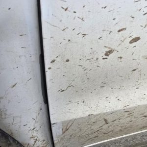 VOLKSWAGEN TIGUAN 1 PHASE 2