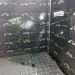 RENAULT CLIO 5 PHASE 1