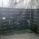 RENAULT TWINGO 1 PHASE 3