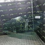 FORD FIESTA 7 PHASE 1