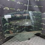 CITROEN C-ELYSEE PHASE 1