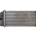 CITROEN C-ELYSEE PHASE 1