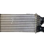 CITROEN C-ELYSEE PHASE 1