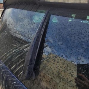 RENAULT GRAND SCENIC 4