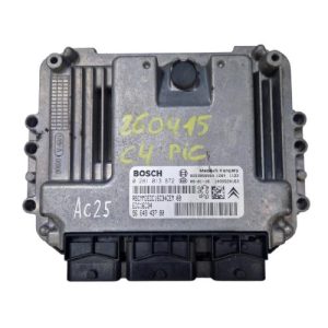 CITROEN C4 PICASSO 1