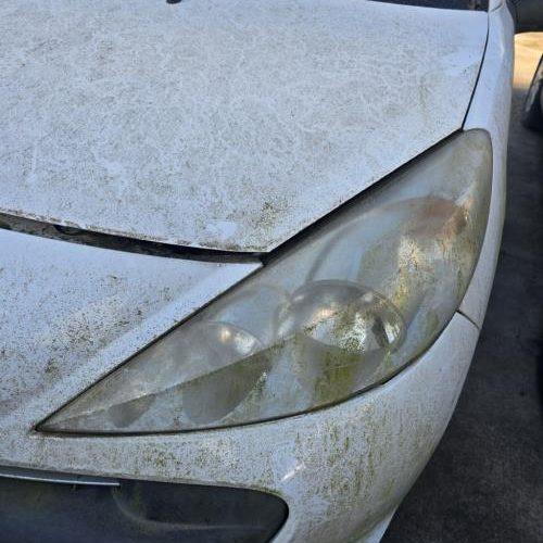 PEUGEOT 206+