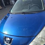 PEUGEOT 206+